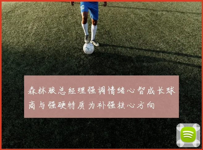 森林狼总经理强调情绪心智成长球商与强硬特质为补强核心方向